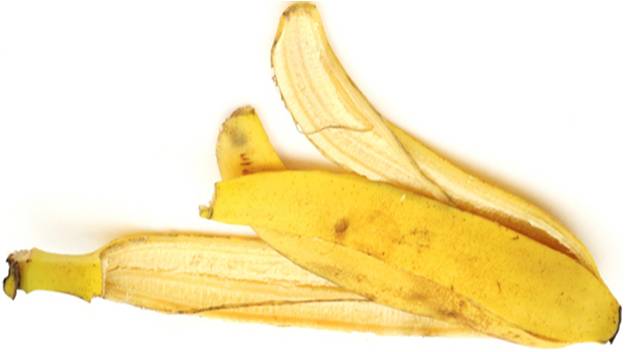 casca de banana: adubo organico da imgrower